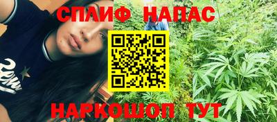тгк Новодвинск